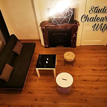 La Croisade-Studio-Hyper Centre Tassin- Suite 1 Екстер'єр фото