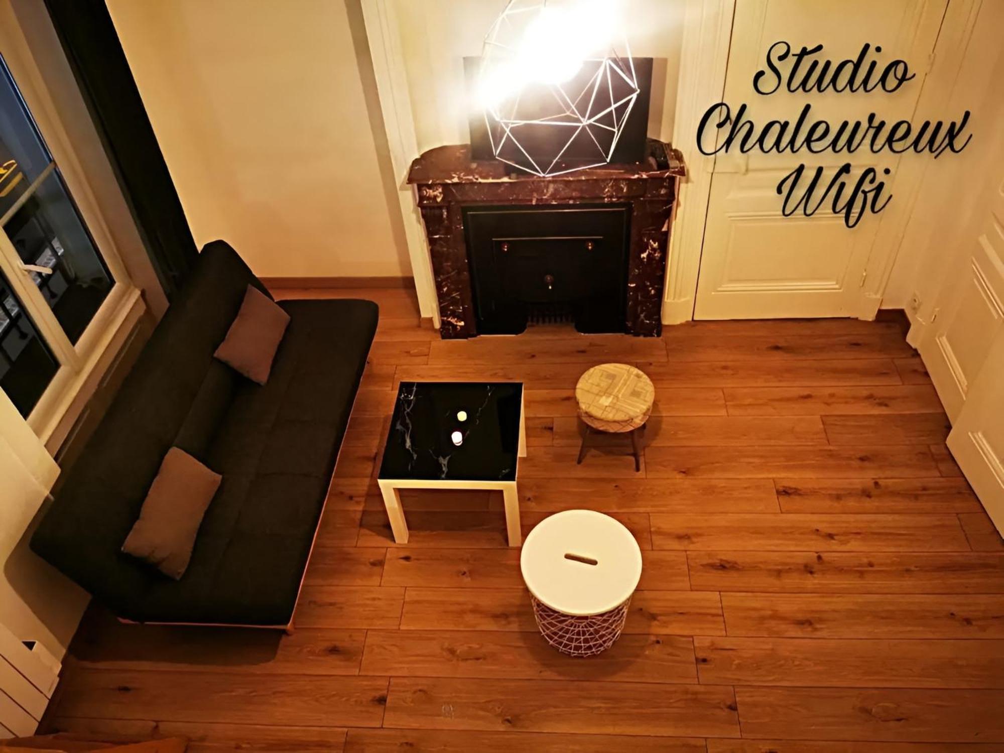 La Croisade-Studio-Hyper Centre Tassin- Suite 1 Екстер'єр фото